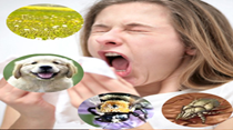 092f6c01 34f7 433b 96f6 dd9906378232